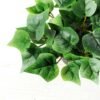 15cm Green Ivy Artificial Plant  in Plastic pot 2 15cm Green Ivy Artificial Plant  in Plastic pot