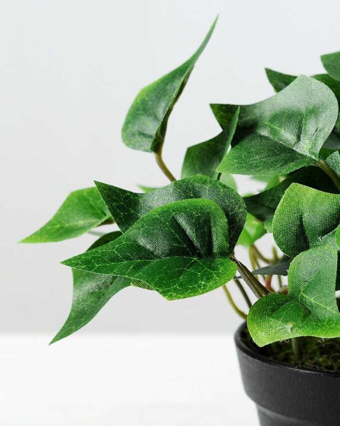 15cm Green Ivy Artificial Plant  in Plastic pot 3 15cm Green Ivy Artificial Plant  in Plastic pot