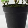 15cm Green Ivy Artificial Plant  in Plastic pot 4 15cm Green Ivy Artificial Plant  in Plastic pot