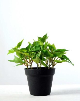 15cm Ivy Artificial Plant  in Plastic pot Potted Flowers&Plants YeahFlower is one of Chinese leading OEM manufacturers and exporters , supplying the silk flowers, wholesale artificial trees 15cm Ivy Artificial Plant  in Plastic pot
