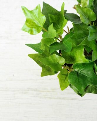 15cm Ivy Artificial Plant  in Plastic pot Potted Flowers&Plants YeahFlower is one of Chinese leading OEM manufacturers and exporters , supplying the silk flowers, wholesale artificial trees 15cm Ivy Artificial Plant  in Plastic pot