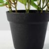15cm Ivy Artificial Plant  in Plastic pot 3 15cm Ivy Artificial Plant  in Plastic pot