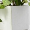 20cm Ivy Artificial Plant  in Paper pulp pot