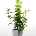 65cm Lagerstroemia Leaf Artificial Plant  in Paper Pulp pot