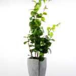 90cm Lagerstroemia Leaf Artificial Plant  in Paper Pulp pot