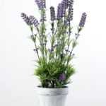 9 Heads Reality Lavender Silk Flower  in Paper Pulp pot