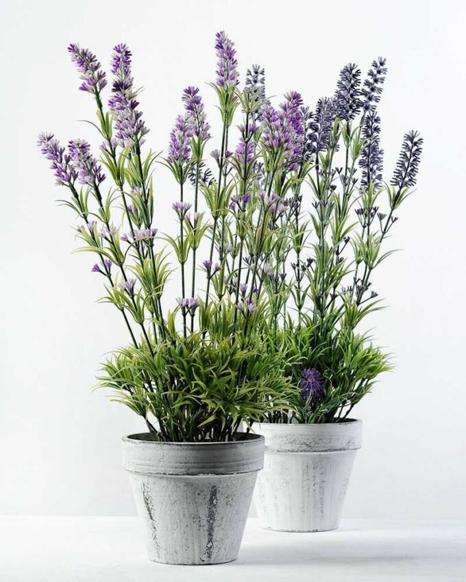 9 Heads Reality Lavender Silk Flower  in Paper Pulp pot 3 9 Heads Reality Lavender Silk Flower  in Paper Pulp pot