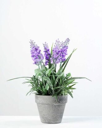 22cm Lavender Silk Flower  in Paper Pulp pot