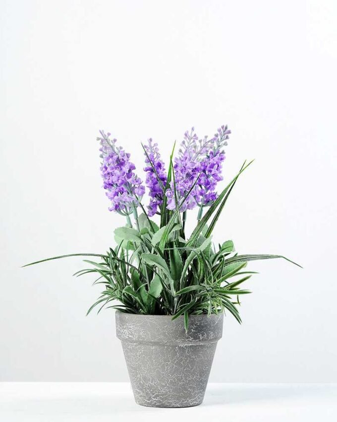 22cm Lavender Silk Flower  in Paper Pulp pot