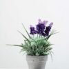 22cm Lavender Silk Flower  in Paper Pulp pot
