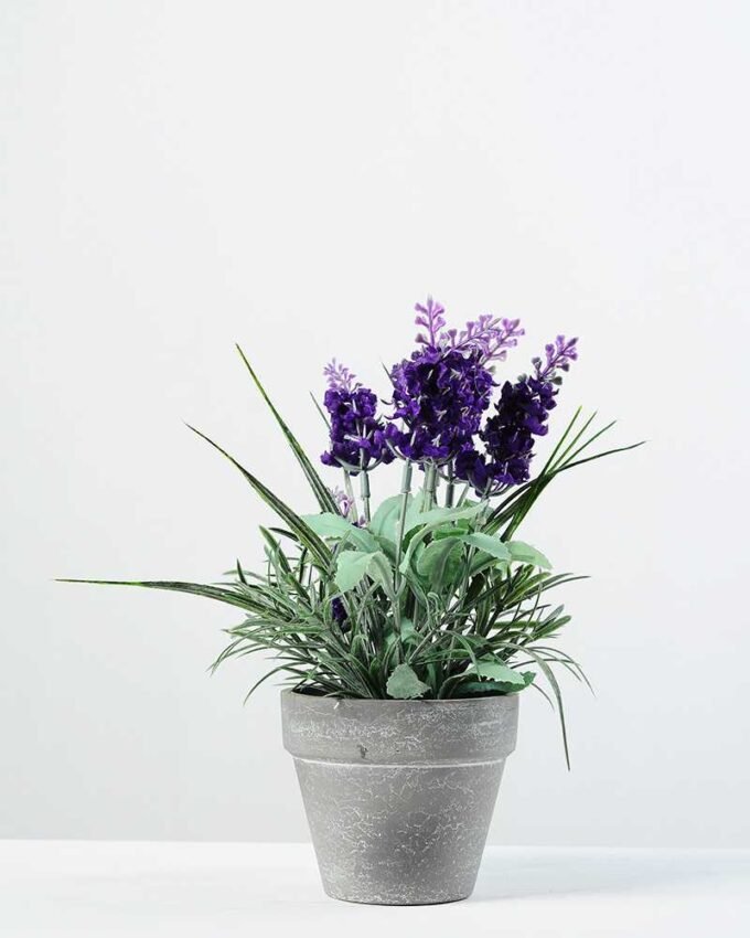 22cm Lavender Silk Flower  in Paper Pulp pot