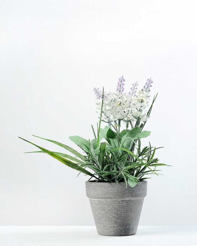 22cm Lavender Silk Flower  in Paper Pulp pot