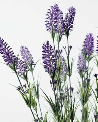 25 Heads Lavender Silk Flower in Paper Pulp pot Potted Flowers&Plants YeahFlower is one of Chinese leading OEM manufacturers and exporters , supplying the silk flowers, wholesale artificial trees 25 Heads Lavender Silk Flower in Paper Pulp pot