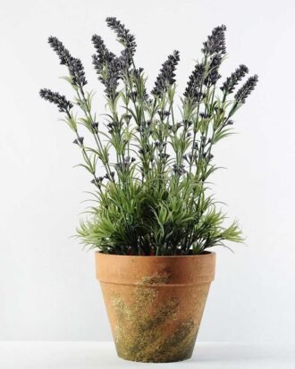 60cm Lavender Silk Flower  in Paper Pulp pot