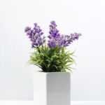 20cm Lavender Silk Flower  in Ceramic pot