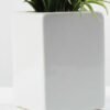 20cm Lavender Silk Flower  in Ceramic pot 4 20cm Lavender Silk Flower  in Ceramic pot