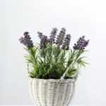 25cm Lavender Silk Flower  in Basket
