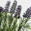 25cm Lavender Silk Flower  in Basket 2 25cm Lavender Silk Flower  in Basket