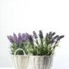 25cm Lavender Silk Flower  in Basket 3 25cm Lavender Silk Flower  in Basket