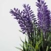 20cm Lavender Silk Flower  in Burlap wrap 2 20cm Lavender Silk Flower  in Burlap wrap