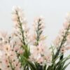 20cm Creative Display Lavender Silk Flower  in Metal Watering Can 2 20cm Creative Display Lavender Silk Flower  in Metal Watering Can