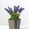 9 Heads Lavender Silk Flower  in Paper Pulp pot