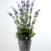 51cm Lavender Silk Flower  in Paper Pulp pot