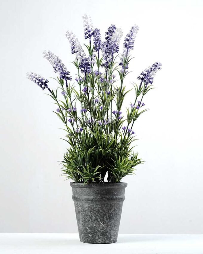 51cm Lavender Silk Flower  in Paper Pulp pot