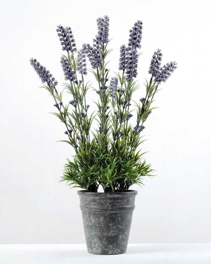51cm Lavender Silk Flower  in Paper Pulp pot