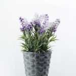 10 Heads Lavender Silk Flower  in Paper Pulp pot