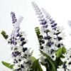 15 Heads Lavender Silk Flower  in Basket 2 15 Heads Lavender Silk Flower  in Basket
