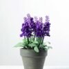 18cm Lavender Silk Flower  in Paper Pulp pot in Metal Frame