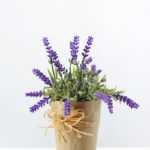 16cm Lavender Silk Flower  in Paper wrap pot