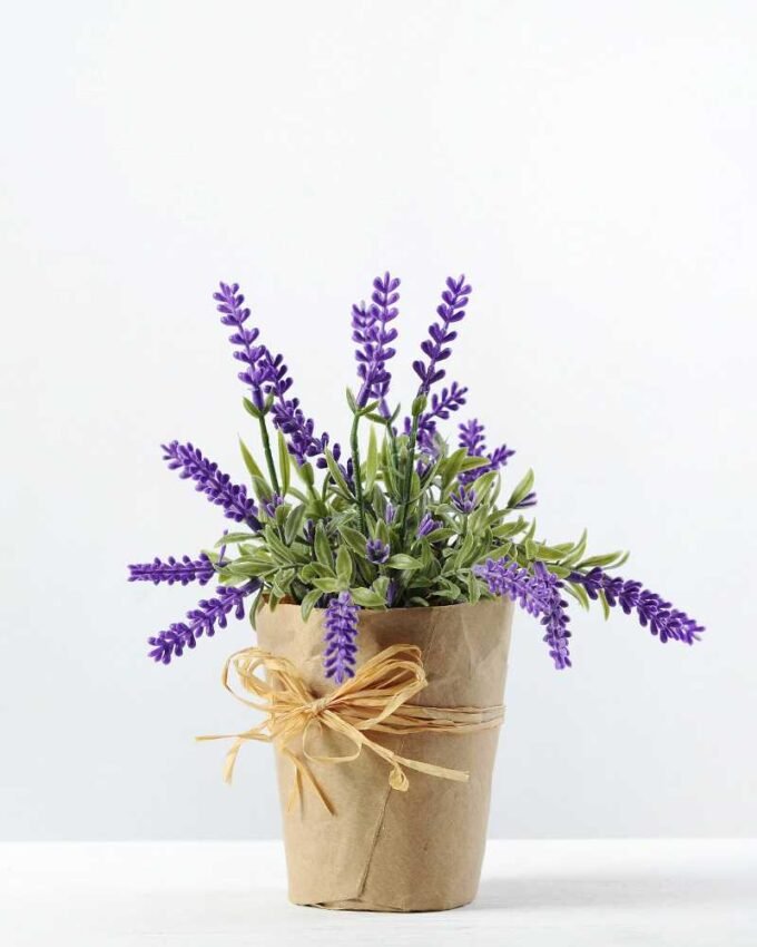 16cm Lavender Silk Flower  in Paper wrap pot