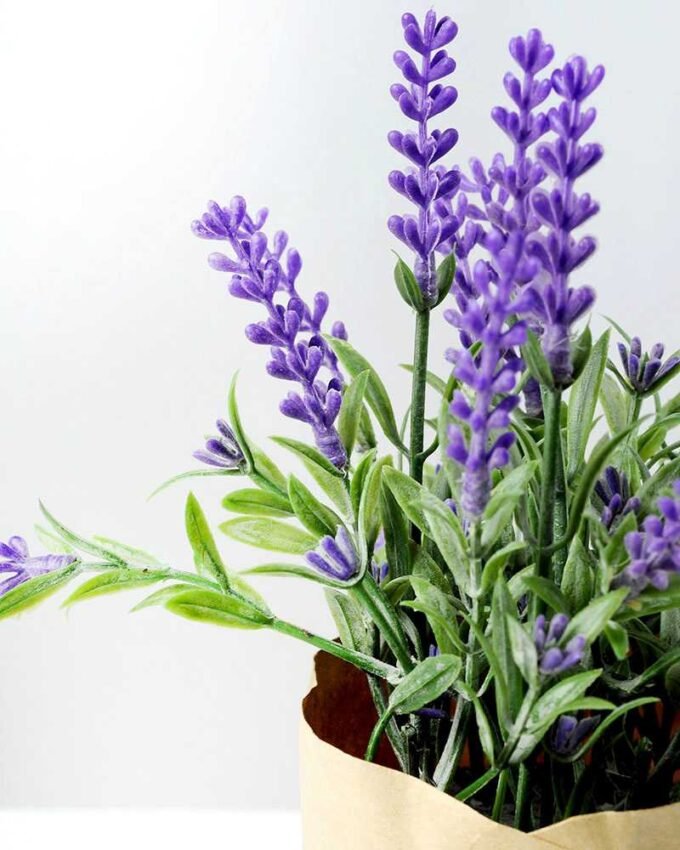 16cm Lavender Silk Flower  in Paper wrap pot