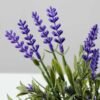 18cm Lavender Silk Flower  in Ceramic pot 2 18cm Lavender Silk Flower  in Ceramic pot