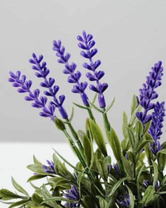 18cm Lavender Silk Flower  in Ceramic pot Potted Flowers&Plants YeahFlower is one of Chinese leading OEM manufacturers and exporters , supplying the silk flowers, wholesale artificial trees 18cm Lavender Silk Flower  in Ceramic pot
