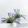 18cm Lavender Silk Flower  in Ceramic pot 5 18cm Lavender Silk Flower  in Ceramic pot