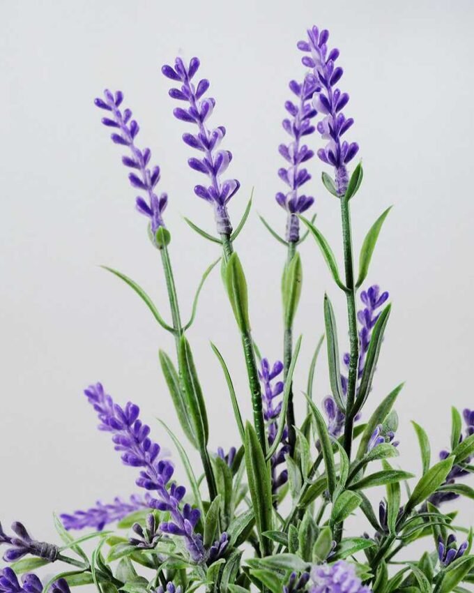 25cm Lavender Silk Flower  in Ceramic Jug 2 25cm Lavender Silk Flower  in Ceramic Jug