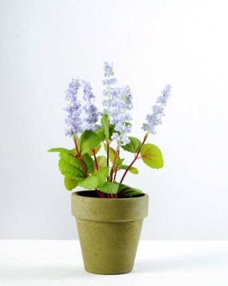 7 Heads Reality Lavender Silk Flower  in Paper Pulp pot