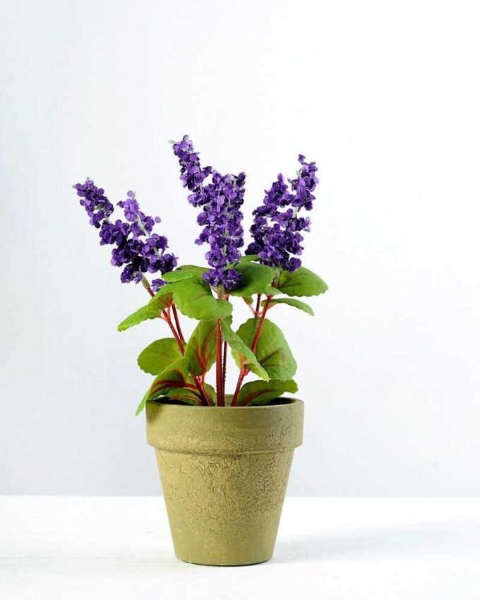 7 Heads Reality Lavender Silk Flower  in Paper Pulp pot