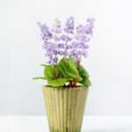 5 Heads Reality Lavender Silk Flower  in Paper Pulp pot