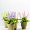 5 Heads Reality Lavender Silk Flower  in Paper Pulp pot