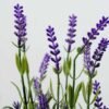 30cm Lavender Silk Flower  in Basket 2 30cm Lavender Silk Flower  in Basket
