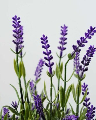 30cm Lavender Silk Flower  in Basket Potted Flowers&Plants YeahFlower is one of Chinese leading OEM manufacturers and exporters , supplying the silk flowers, wholesale artificial trees 30cm Lavender Silk Flower  in Basket