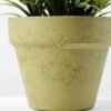20cm Lavender Silk Flower  in Paper Pulp pot