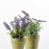 20cm Lavender Silk Flower  in Paper Pulp pot