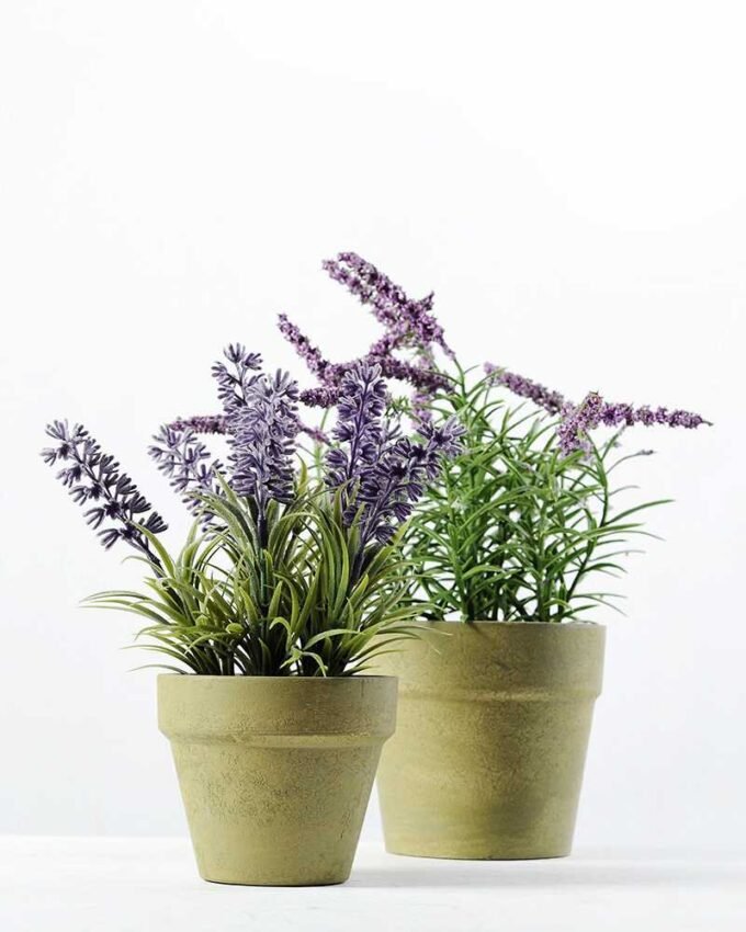 20cm Lavender Silk Flower  in Paper Pulp pot
