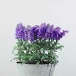 30 Heads Lavender Silk Flower  in Metal Pot