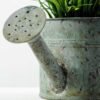 20cm White Lavender Silk Flower  in Metal Watering Can 5 20cm White Lavender Silk Flower  in Metal Watering Can
